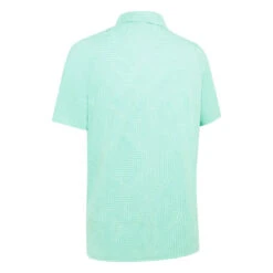 Callaway Warped Gingham Golf Polo Shirt CGKSF089 -Clarkes Golf Store CGKSF089313 BACK scaled Photoroom