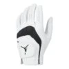 Nike Jordan Tour Golf Glove FN0534 1 Nike Jordan Tour Golf Glove FN0534 -Clarkes Golf Store Nike Jordan Tour Golf Glove FN0534 5
