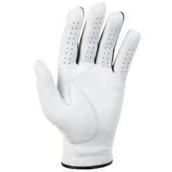 Titleist Players Flex Golf Glove 6200E -Clarkes Golf Store Titleist Players Flex Golf Glove 6200E 9