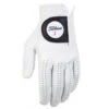 Titleist Players Golf Glove 6636E -Clarkes Golf Store Titleist Players Golf Glove 6636E 118